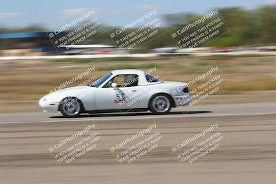 media/Oct-04-2025-OnGrid (Sat) [[44bd565ffa]]/Purple Group/Grapevine/